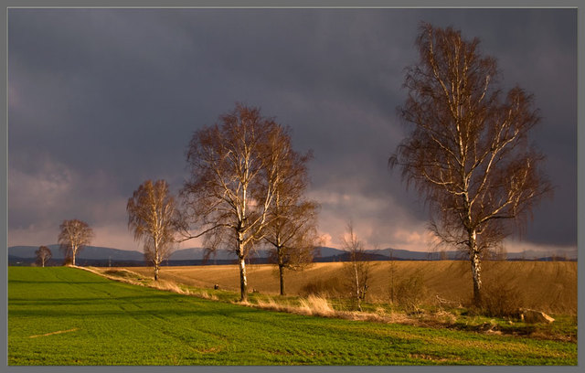 Zawidowskie klimaty 