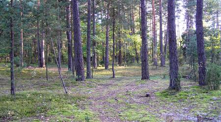 pozorny spokój – Michałowo, Polska