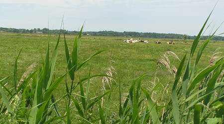 wiosna – Białystok, Polska
