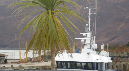 port – Kyle of Lochalsh, Wielka Brytania