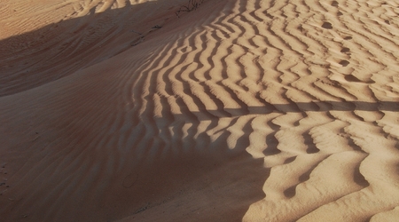 254319 - Dubaj Pustynia – Zjednoczone Emiraty Arabskie