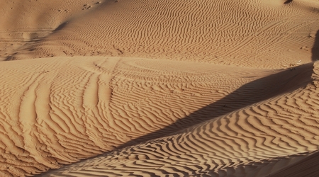 254322 - Dubaj Pustynia – Zjednoczone Emiraty Arabskie