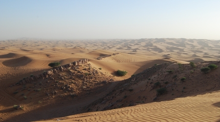 254324 - Dubaj Pustynia – Zjednoczone Emiraty Arabskie