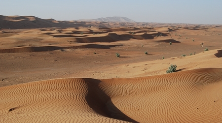 254328 - Dubaj Pustynia – Zjednoczone Emiraty Arabskie