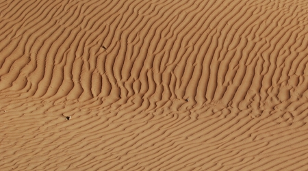 254329 - Dubaj Pustynia – Zjednoczone Emiraty Arabskie