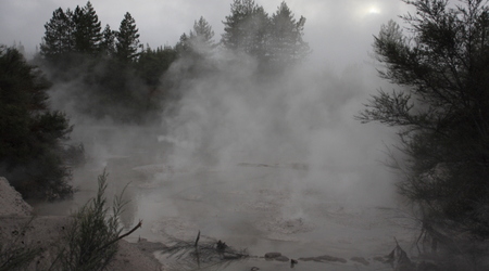 błotne jeziorko – Rotorua, Nowa Zelandia