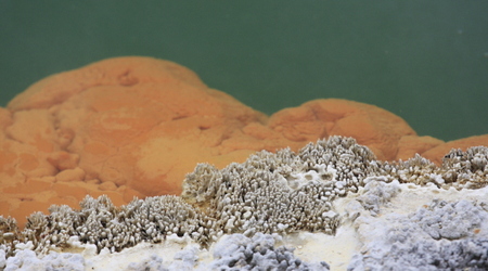wykwity – Rotorua, Nowa Zelandia