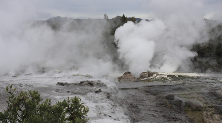 gejzery – Rotorua, Nowa Zelandia