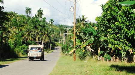 255583 - Baracoa REZERWAT W DOLINIE RZEKI TOA – Kuba