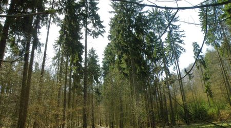 Sopot-wiosna 2010 – Polska