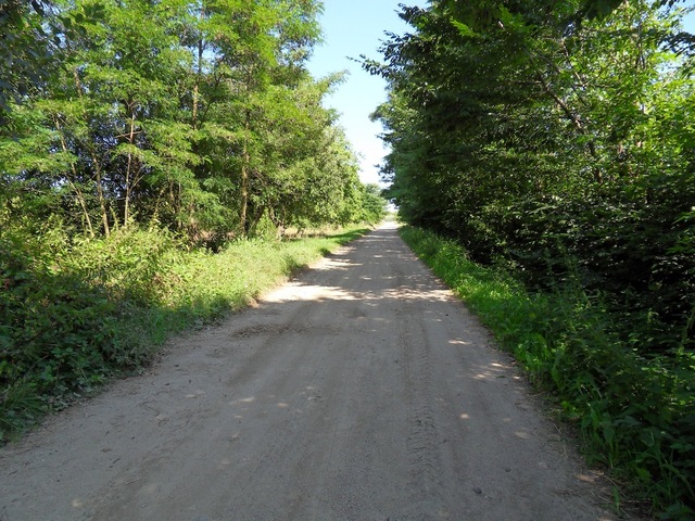 Bernów