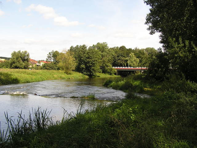 Przedbórz