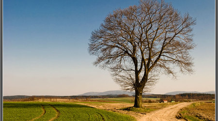Pejzaż – Polska