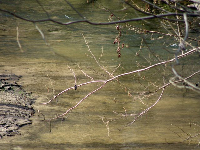Rezerwat  "Jar Raduni" - 2010/04