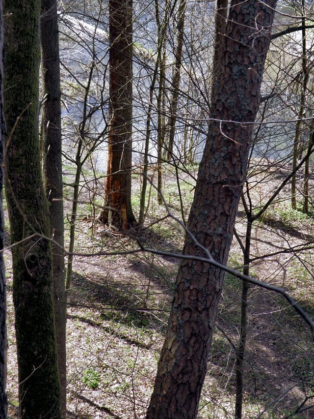 Rezerwat  "Jar Raduni" - 2010/04