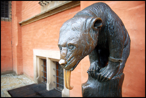 Rynek