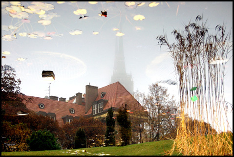 Ogród Botaniczny