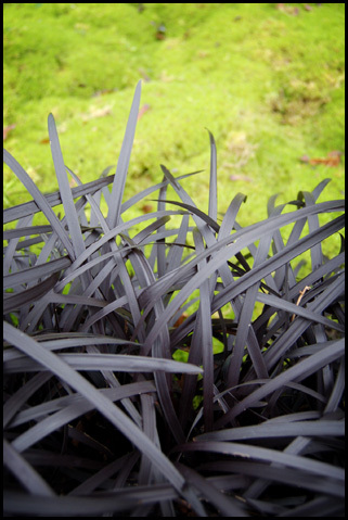Ogród Botaniczny