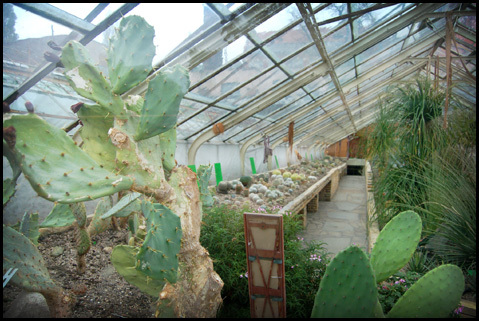 Ogród Botaniczny