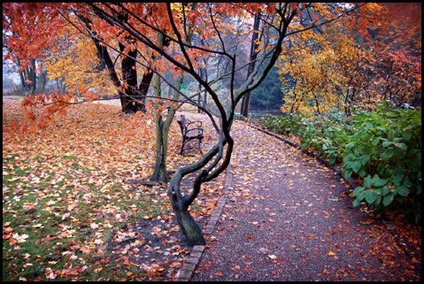 Ogród Botaniczny