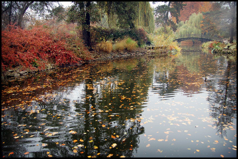 Ogród Botaniczny