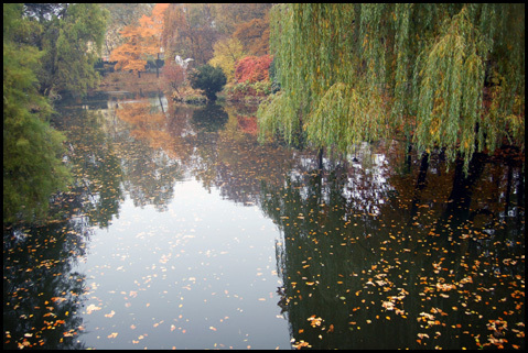 Ogród Botaniczny