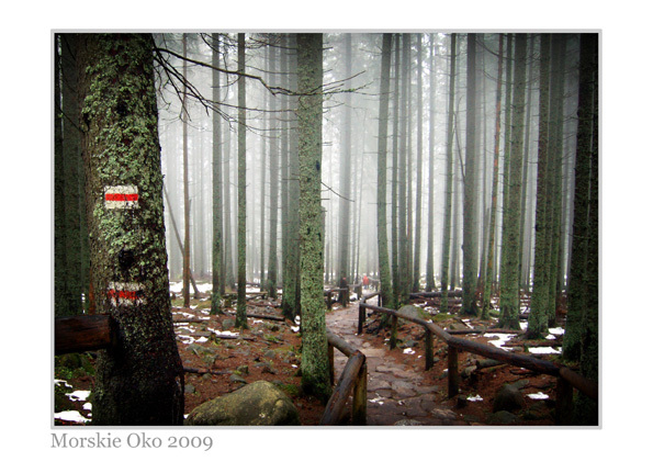 Zakopane 2009