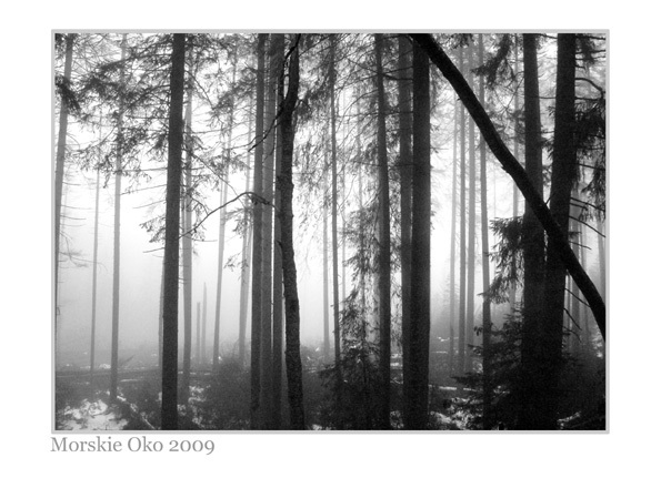 Zakopane 2009