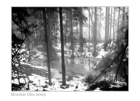Zakopane 2009