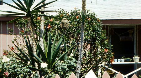 Los Angeles – Stany Zjednoczone Ameryki