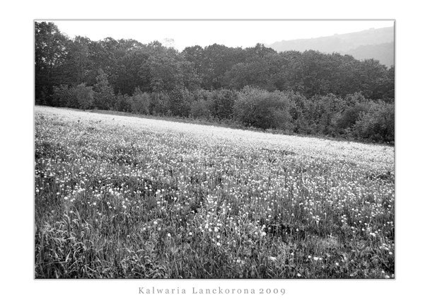 Kalwaria Lanckorona 2009