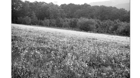 Kalwaria Lanckorona 2009 – Polska