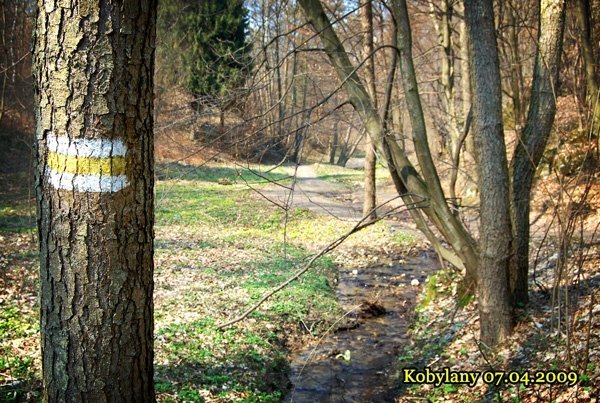 Kobylany 2009