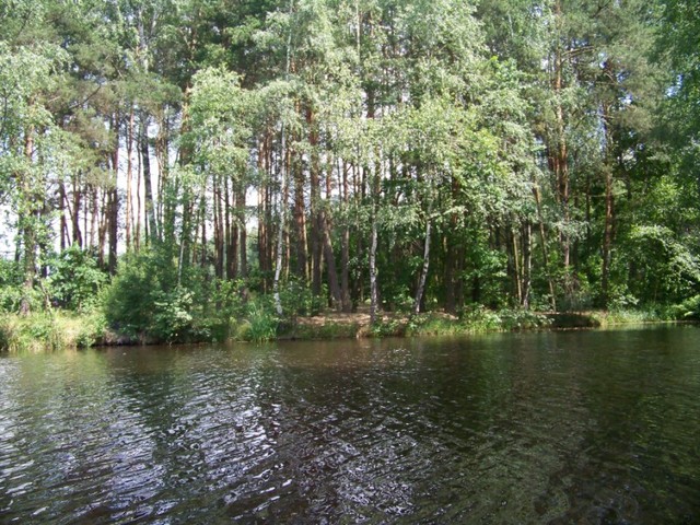Wyspa