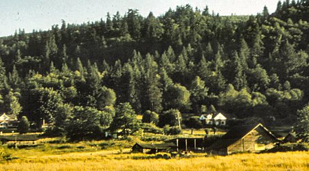 Krajobraz  stanu  Washington – Seattle, Stany Zjednoczone Ameryki