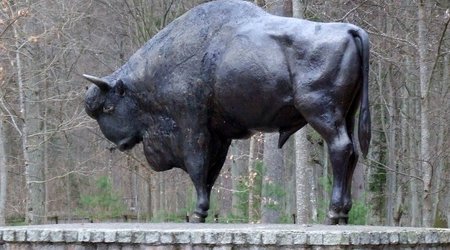 Białowieża (1) – Polska