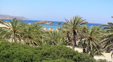 palmy na plaży – Váï, Grecja