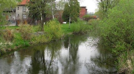 Nowe Miasto Lubawskie – Polska