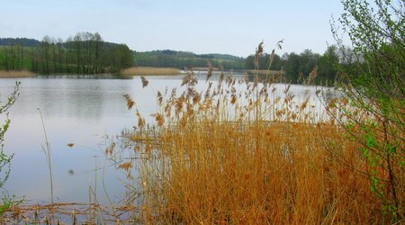 Łążyn – Polska