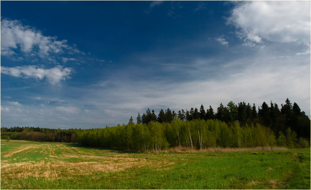 Zawidowskie klimaty wiosenne 