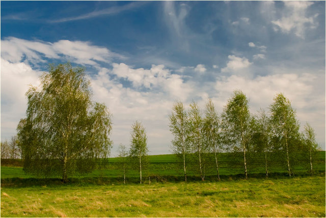 Zawidowskie klimaty wiosenne 