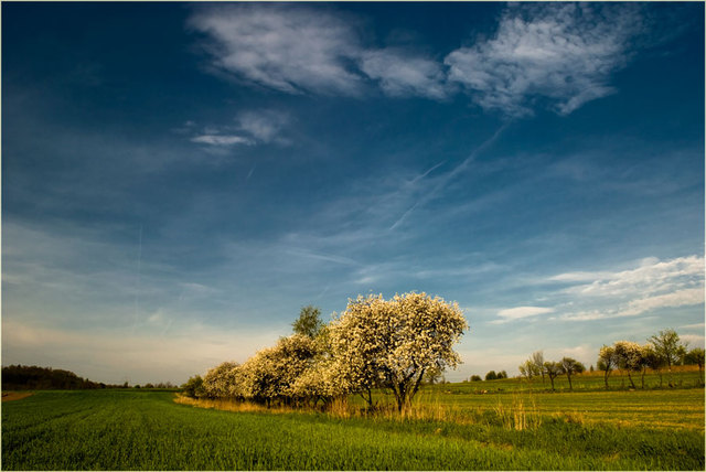 Zawidowskie klimaty wiosenne 