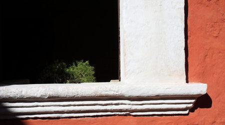 paprotka – Arequipa, Peru