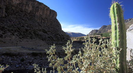 kanion Colca – Chivay, Peru