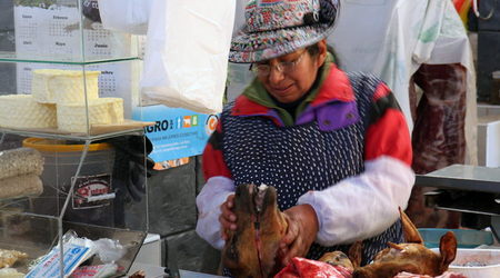 mordo Ty moja – Chivay, Peru