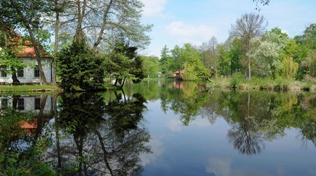 Staw przy kościółku – Zwierzyniec, Polska