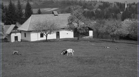 Skansen - Svidnik – Svidník, Słowacja