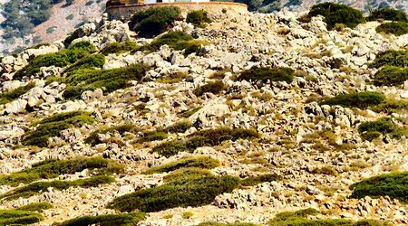 Symi -Panormitis -charakterystyczny  wiatrak z  czasow weneckiego  panowania – Panormítis, Grecja