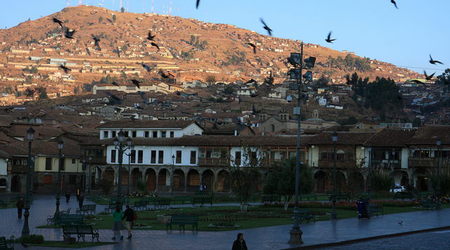 ptaki – Cusco, Peru
