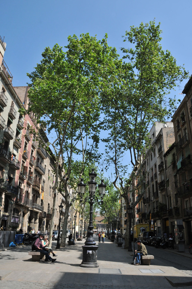 Dsc 1538 dzilnica Ribera